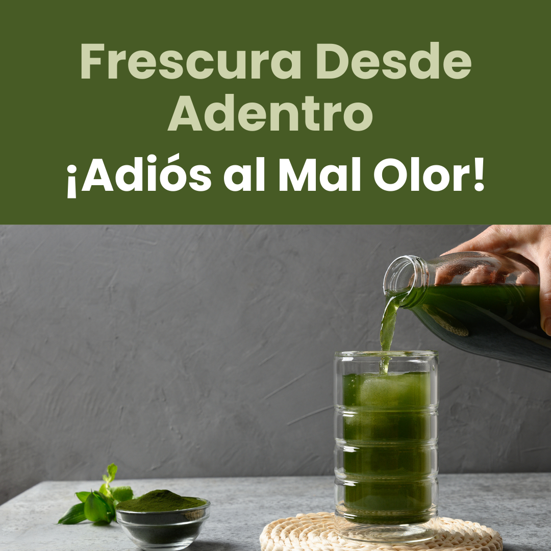 CLOROFILA LÍQUIDA MNS 32 OZ