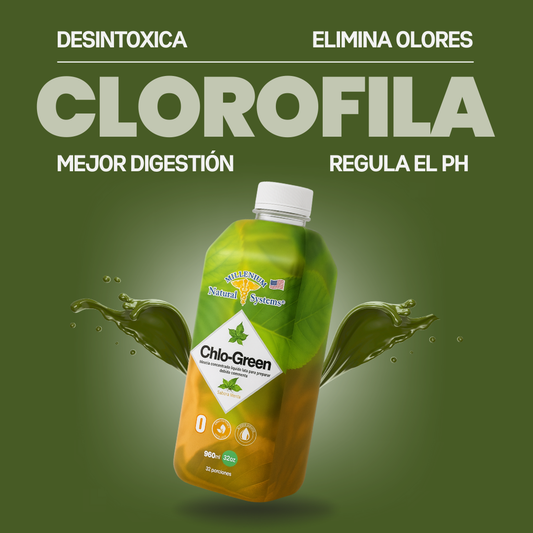 CLOROFILA LÍQUIDA MNS 32 OZ